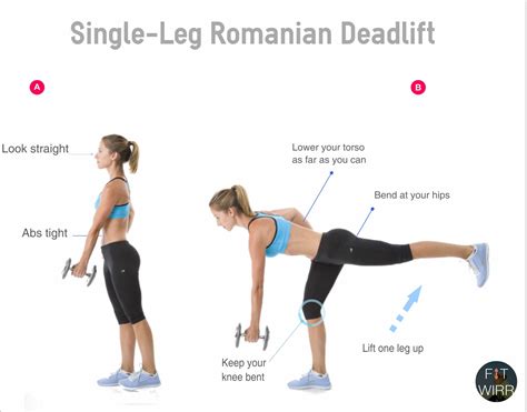 single leg romanian deadlift muscles worked